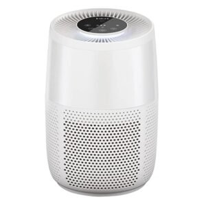 instant brands week2 c1 airpurifierwhite100 onwhite edit lights on 500x500 1.jpg